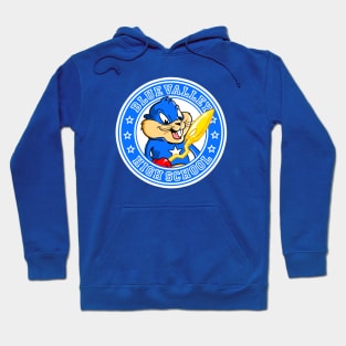 Blue Valley High Hoodie